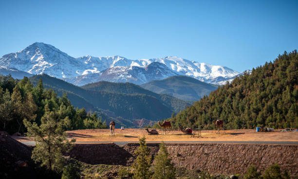 1-day-tour-ourika-valley-from-marrakech-by-nomad-ecusrion-nomadexcursion-road