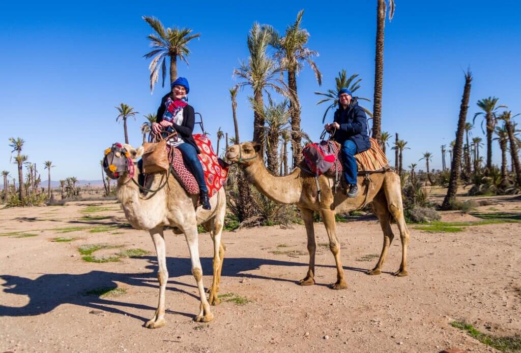 Camel Rides Marrakech
