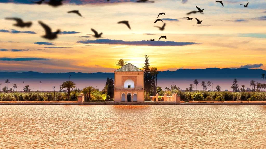 Discover the best activities to enjoy in Marrakech throughout the year. From exploring historic sites in January to desert adventures in July, our month-by-month guide covers it all. Plan your perfect trip with our comprehensive Marrakech weather guide.