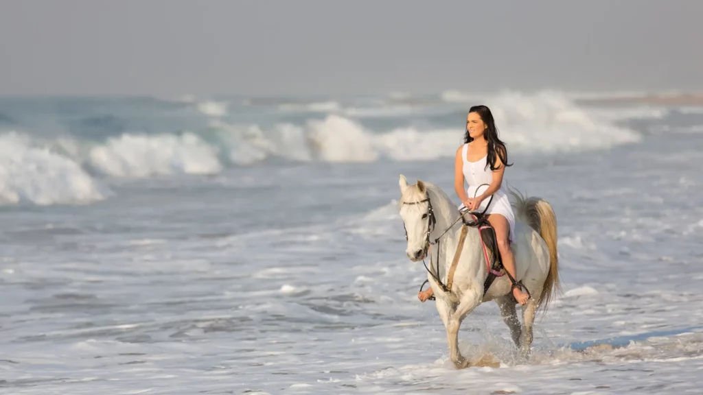 Horse Riding on Beach , Essaouira