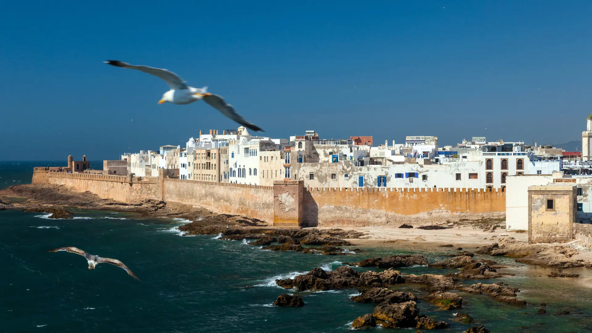 Top 30 Things to Do in Essaouira, Morocco