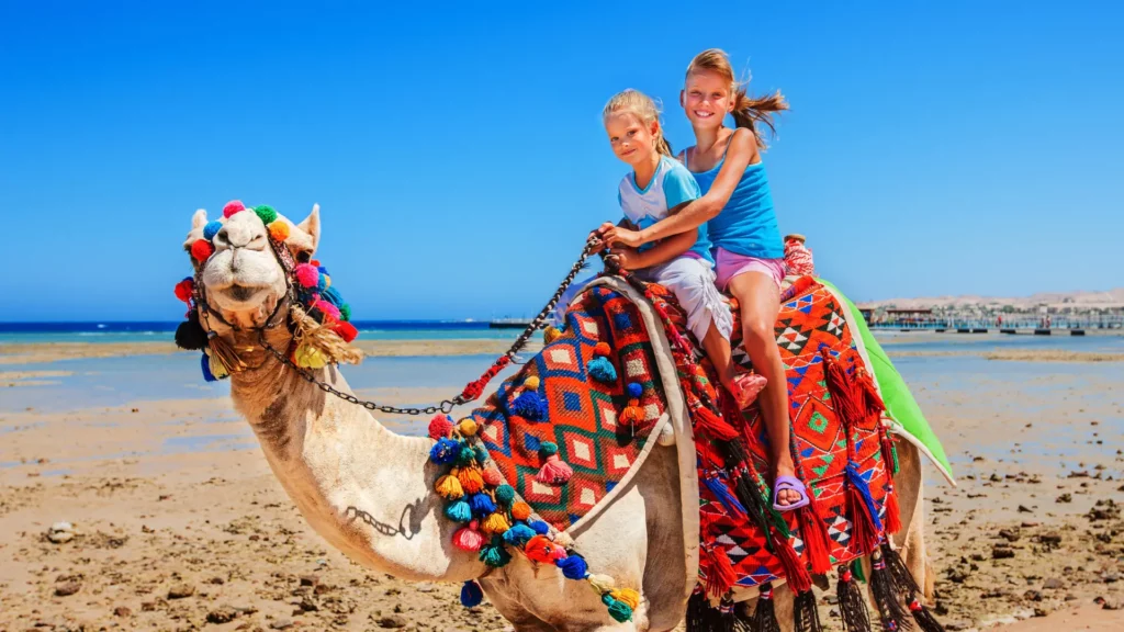Camel Riding Essaouira