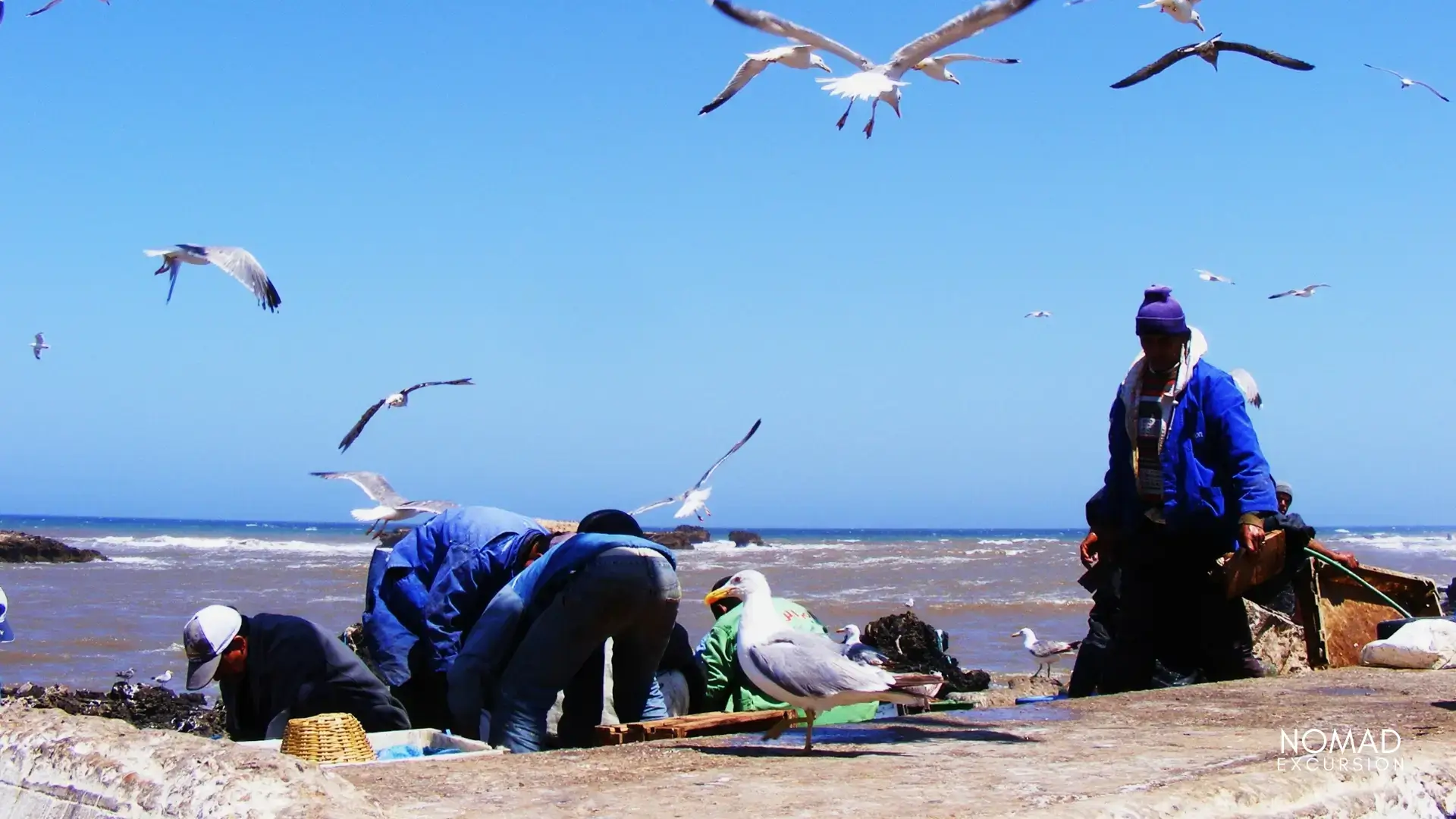 Discover essential tips for a day trip to Essaouira from Marrakech