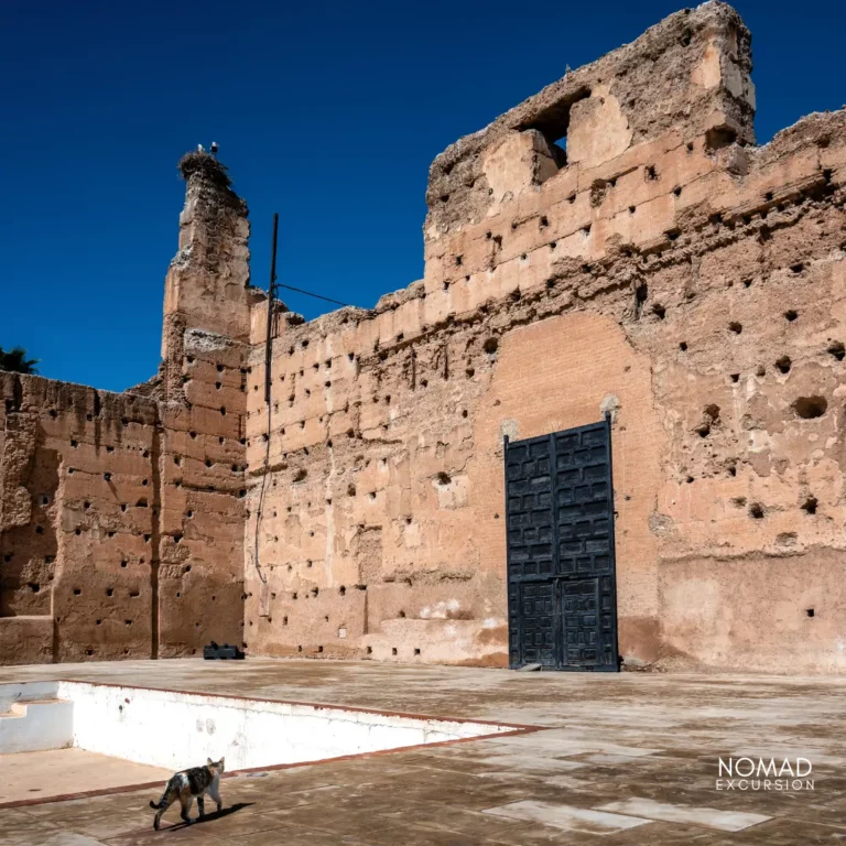 El Badi Palace Guided Tour and tickets