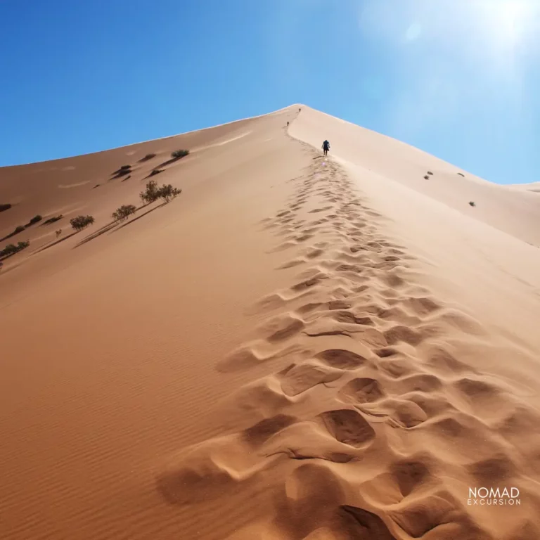 Merzouga Desert Tour From Marrakech