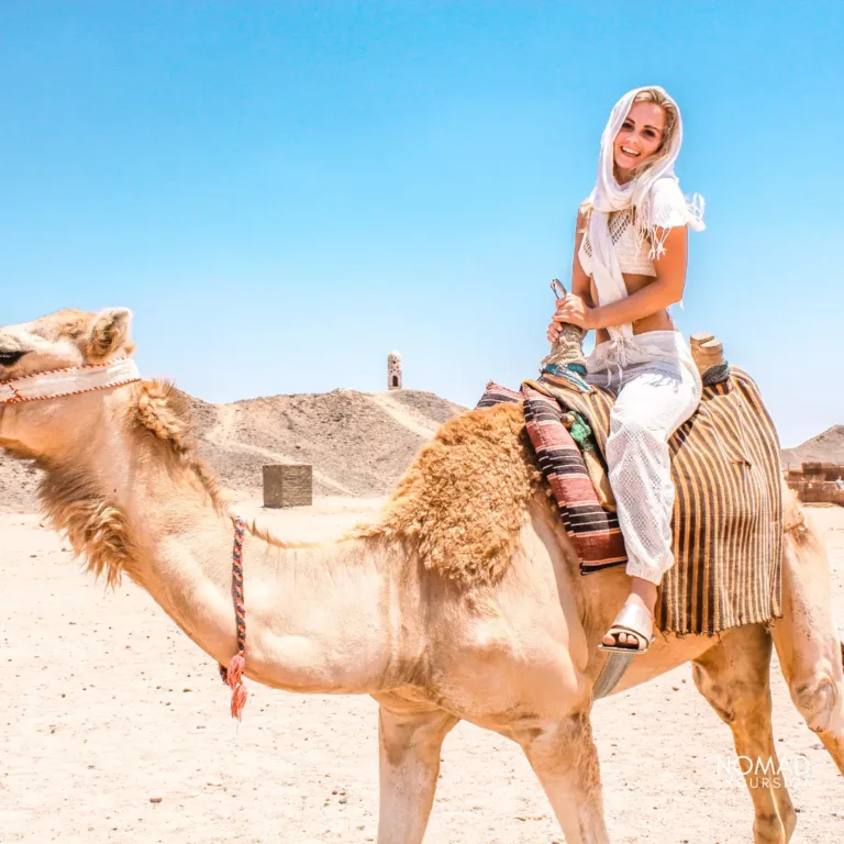 Camel Ride in Marrakech Morocco