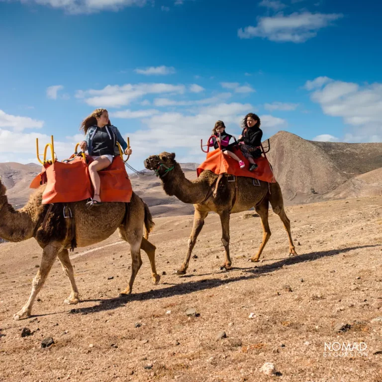 Camel Ride Agafy Desert Marrakech