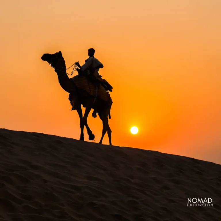 Camel Ride Marrakech at sunset