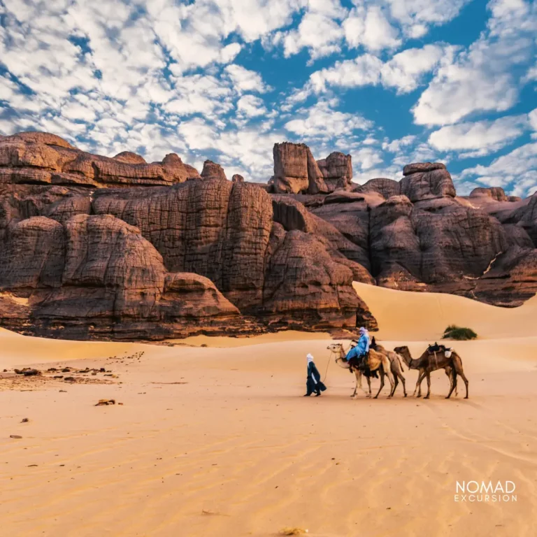 Camel Ride Marrakech Morocco