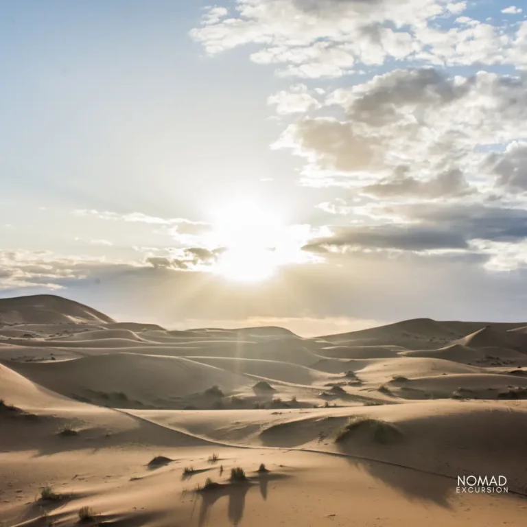 Merzouga Desert Sun At the Day
