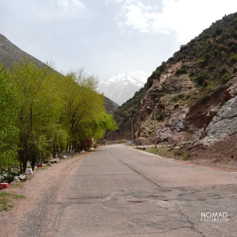 Day Trip to Ourika Valley from Marrakech