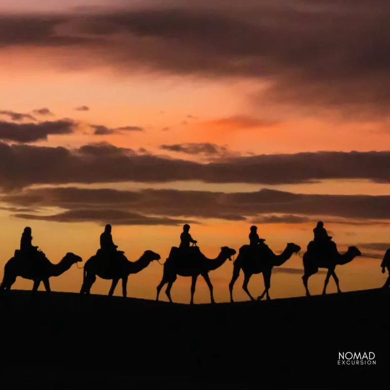 Zagora Desert tour Camel Ride