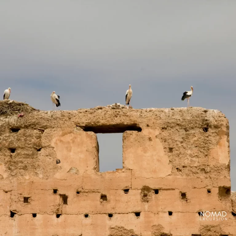 El Badi Palace Guided Tours and Tickets.