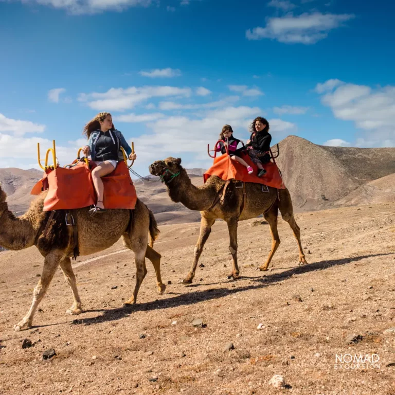 Camel Ride Marrakech