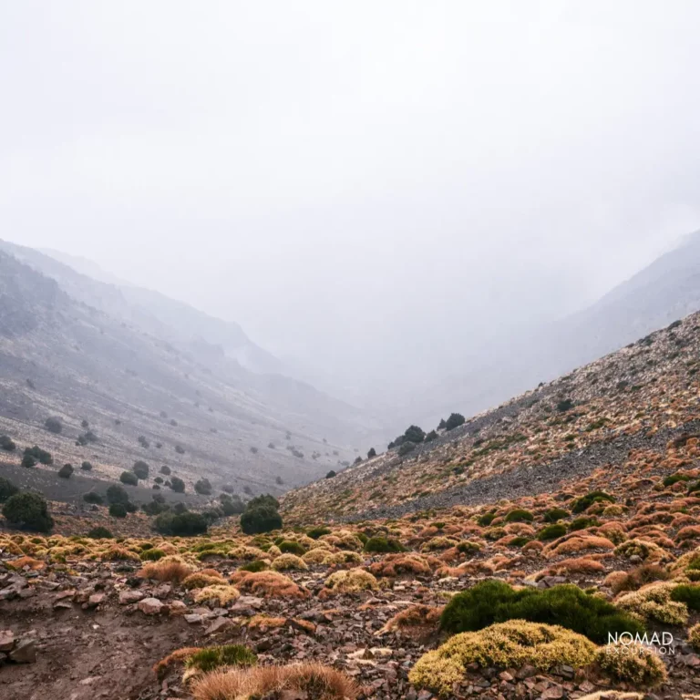 Imlil Day Trip from Marrakech