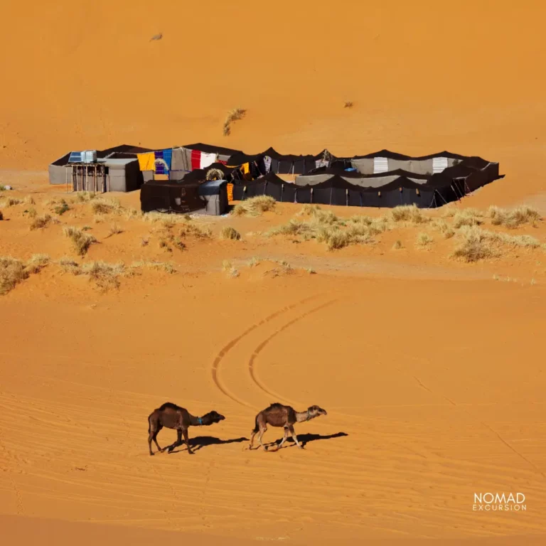 3 Days Merzouga Desert Tours from Marrakech