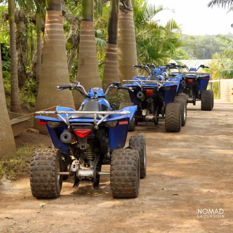 Quad Biking in Marrakech