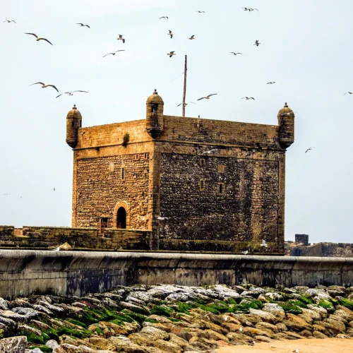 Game Of Thrones in Essaouira