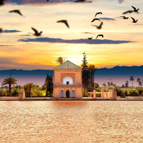 Discover the best activities to enjoy in Marrakech throughout the year. From exploring historic sites in January to desert adventures in July, our month-by-month guide covers it all. Plan your perfect trip with our comprehensive Marrakech weather guide.