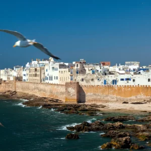 Top 30 Things to Do in Essaouira, Morocco
