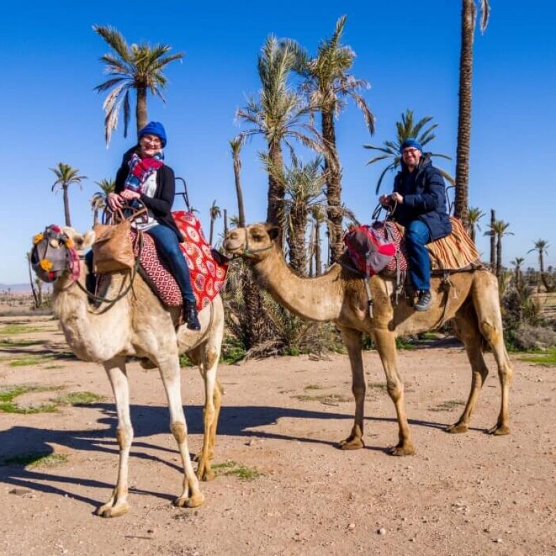 Camel Rides Marrakech