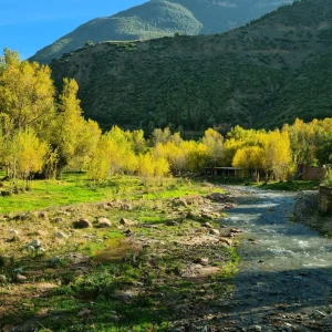 Discover the Seasonal Wonders of Ourika Valley: Year-Round Beauty and Activities